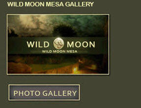 Wild Moon Mesa